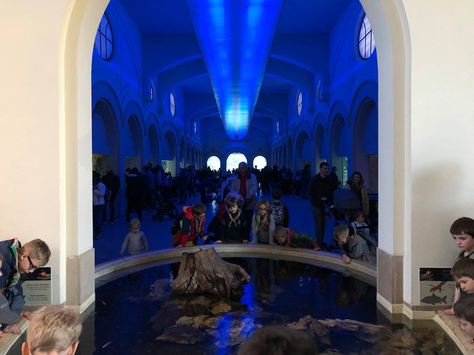 Sint-Martinus den XIIde - Zoo Antwerpen Kapoenen